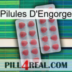 Engorge Pills 19